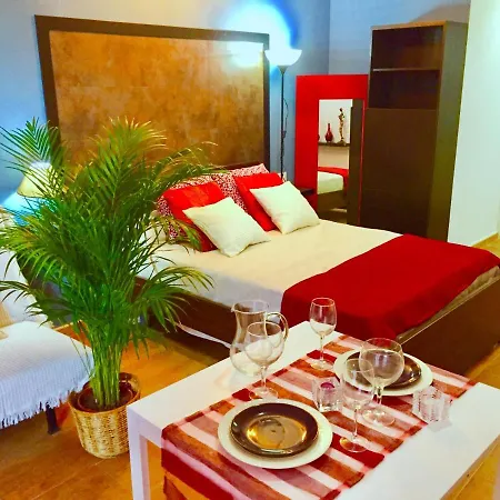 Apartment Estudio Economico